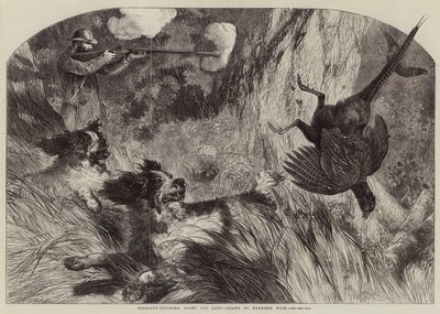 キジ撮影、右と左 作： Harrison William Weir